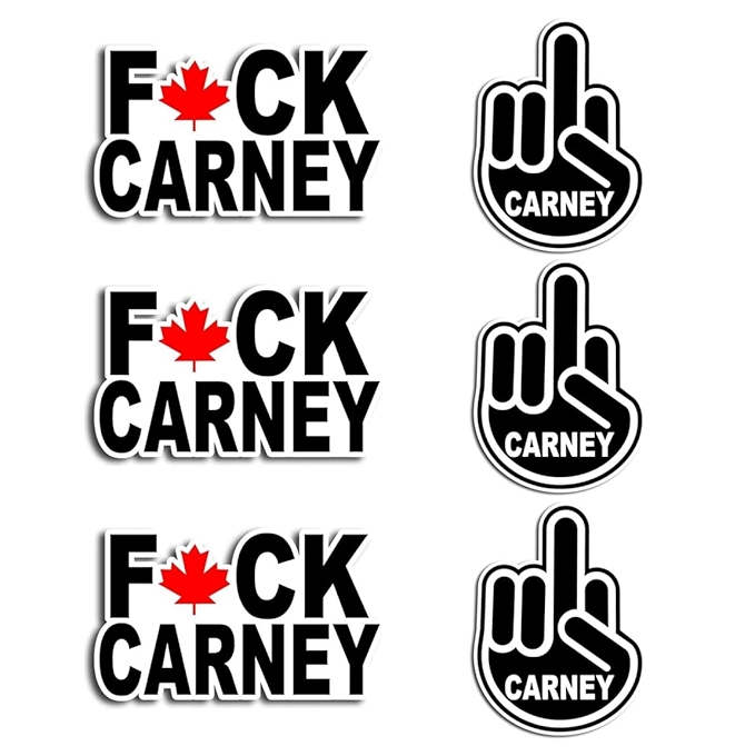 搞笑汽车贴纸 - 6张套餐