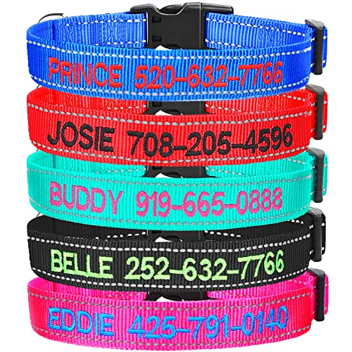 Dog Collars with Name Embroidered The 15 best products compared