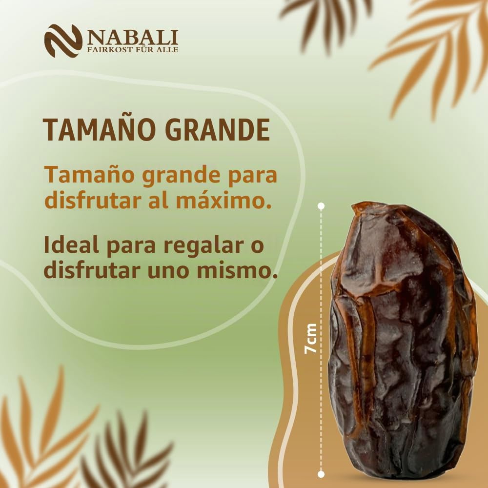 NABALI FAIRKOST Medjoul dátiles de Palestina - 100% natural aromático Tradicional Fresco & Oriental I sin conservantes I vegano I dátiles Medjoul jumbo (5 kg)