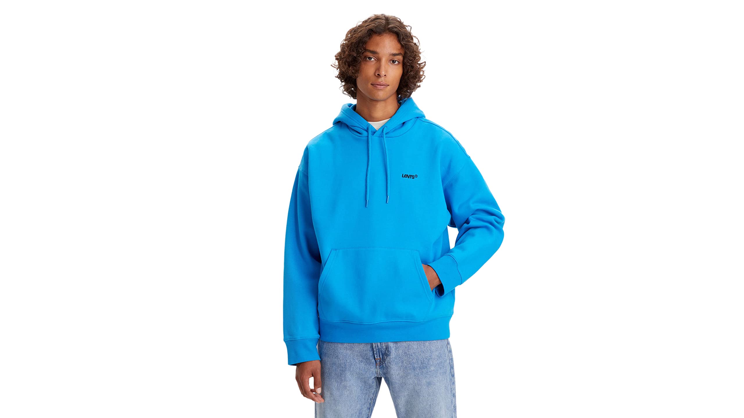 Levi's Seasonal Hoodie Hoodie Erkek