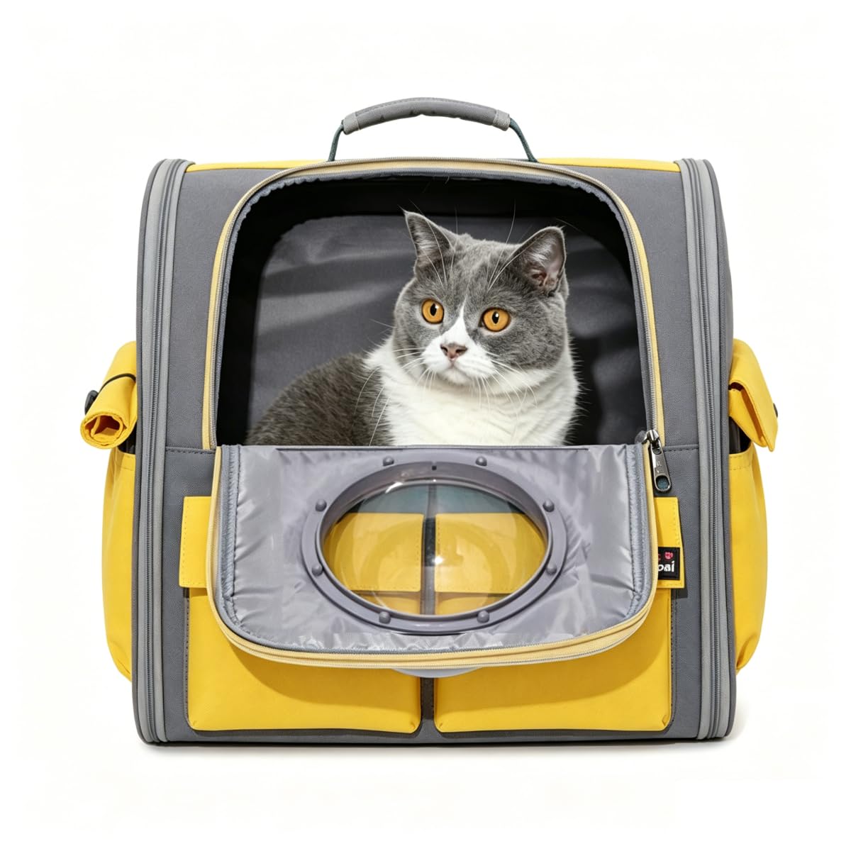 Trasportino Zaino Porta Cane Gatto 8kg, Borsa Trasporto Capsula Grande con 3 Ingresso 2 Cupole (acrilico e nido d'ape) Apertura dall'alto, Portatile Ventilato Pieghevole per Viaggio e dal Veterinario
