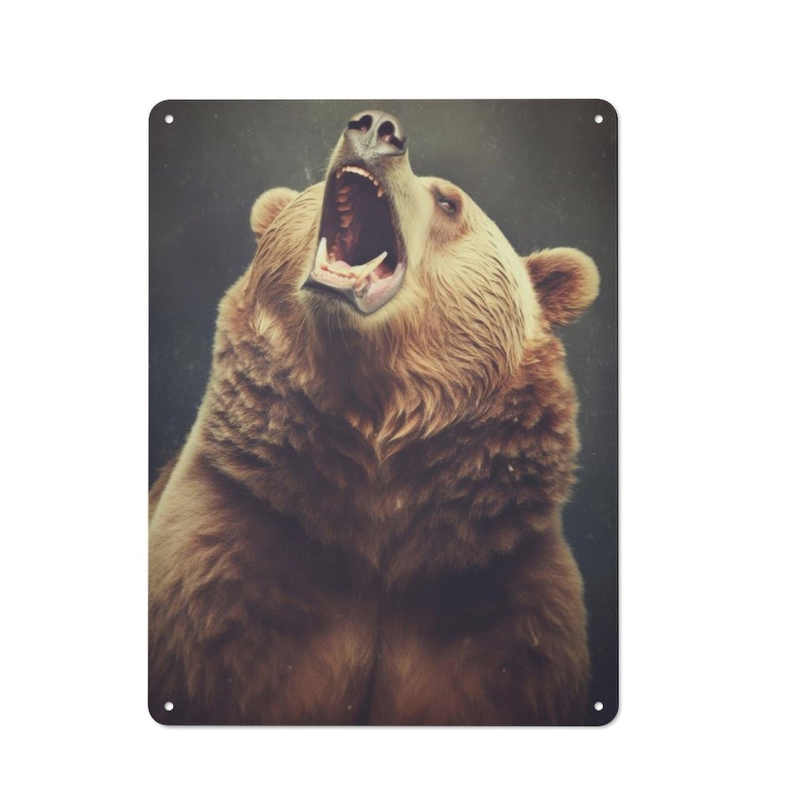 Junmoney Bear Animals Rustic Metal Sign 40X30cm Featuring For Hallway Wall, For Collectors Decorating Hallways And Entrance Areas