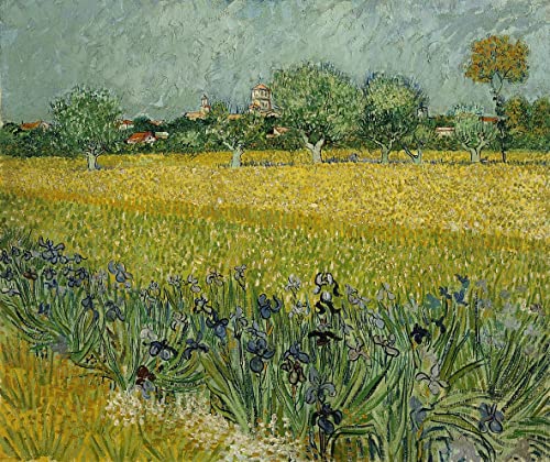 Tableau Van Gogh Champ de fleurs à Arles pour illuminer un bureau sombre