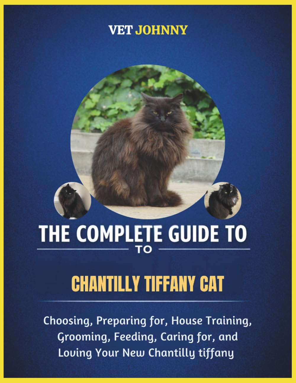 THE COMPLETE GUIDE TO CHANTILLY TIFFANY CAT: CHOOSING, PREPARING FOR, HOUSE TRAINING, GROOMING, FEEDING, CARING FOR AND LOVING YOUR NEW CHANTILLY TIFFANY