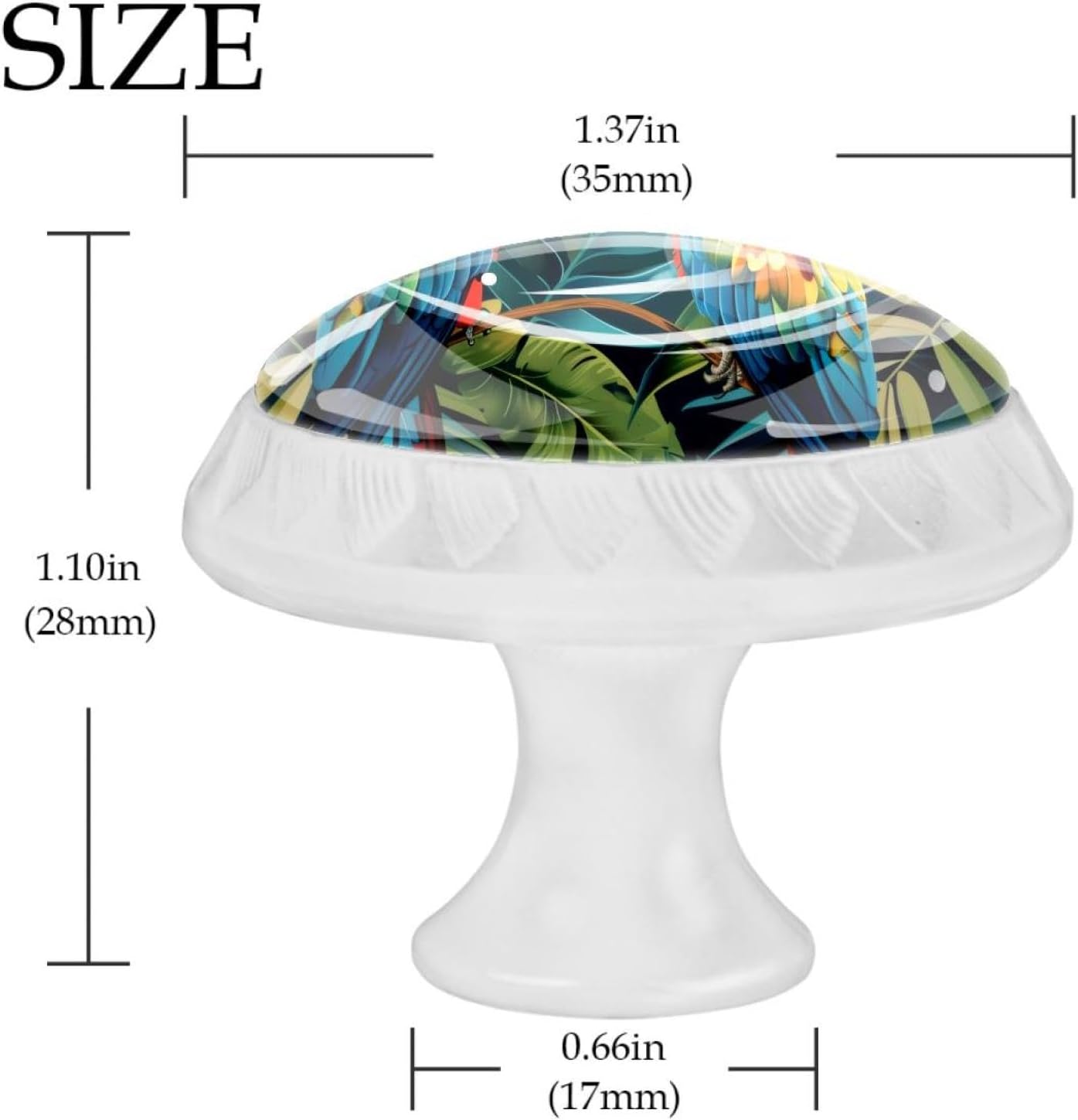 Tropical Birds Parrots Exotic Jungle Plants Glass Cabinet Dresser Knobs for Home Kitchen, Diamond Shaped Cupboard Knobs Pulls Hardware with Stainless Steel Screws, 4 Pack