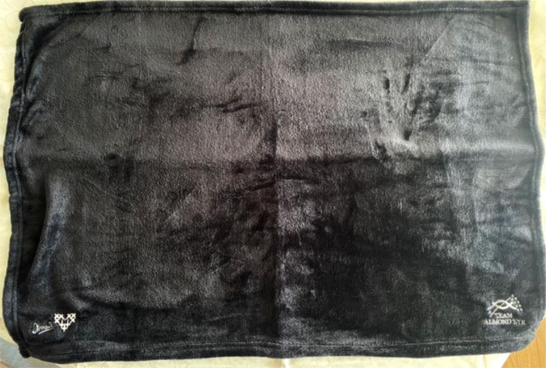 アーモンドアイ ブランケット ウマ娘 アーモンドアイ ハーフ