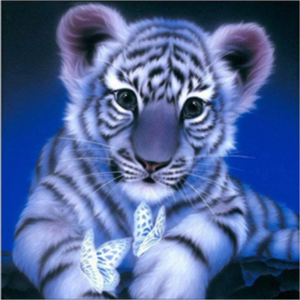 Abillyn 5D Diamond Painting Kits Full Drill, Tiger and Butterfly Diamond Art for Adults Kids