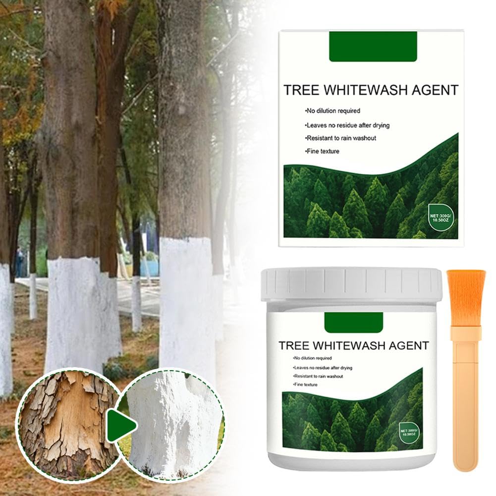 View 2