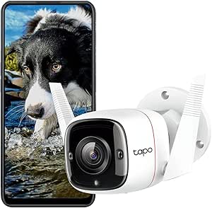 Tapo C310 3MP Outdoor WiFi Surveillance Camera, 30M Night Vision, Motion Detection, IP66 Waterproof, Alarm Notification, Two-Way Audio, Alexa and Google Compatible asin的图片
