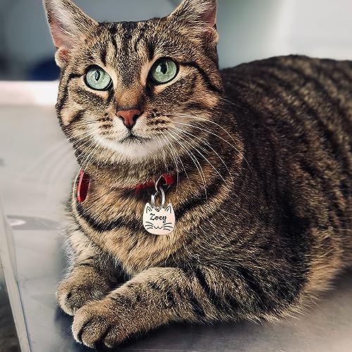 YEHANTI Katzenmarke mit Gravur - Katzenmarken Personalisiert mit Name, Telefonnummer und Adresse, Edelstahl Namensschild für Halsband, Anhänger Marke für Hunde und Katzen
