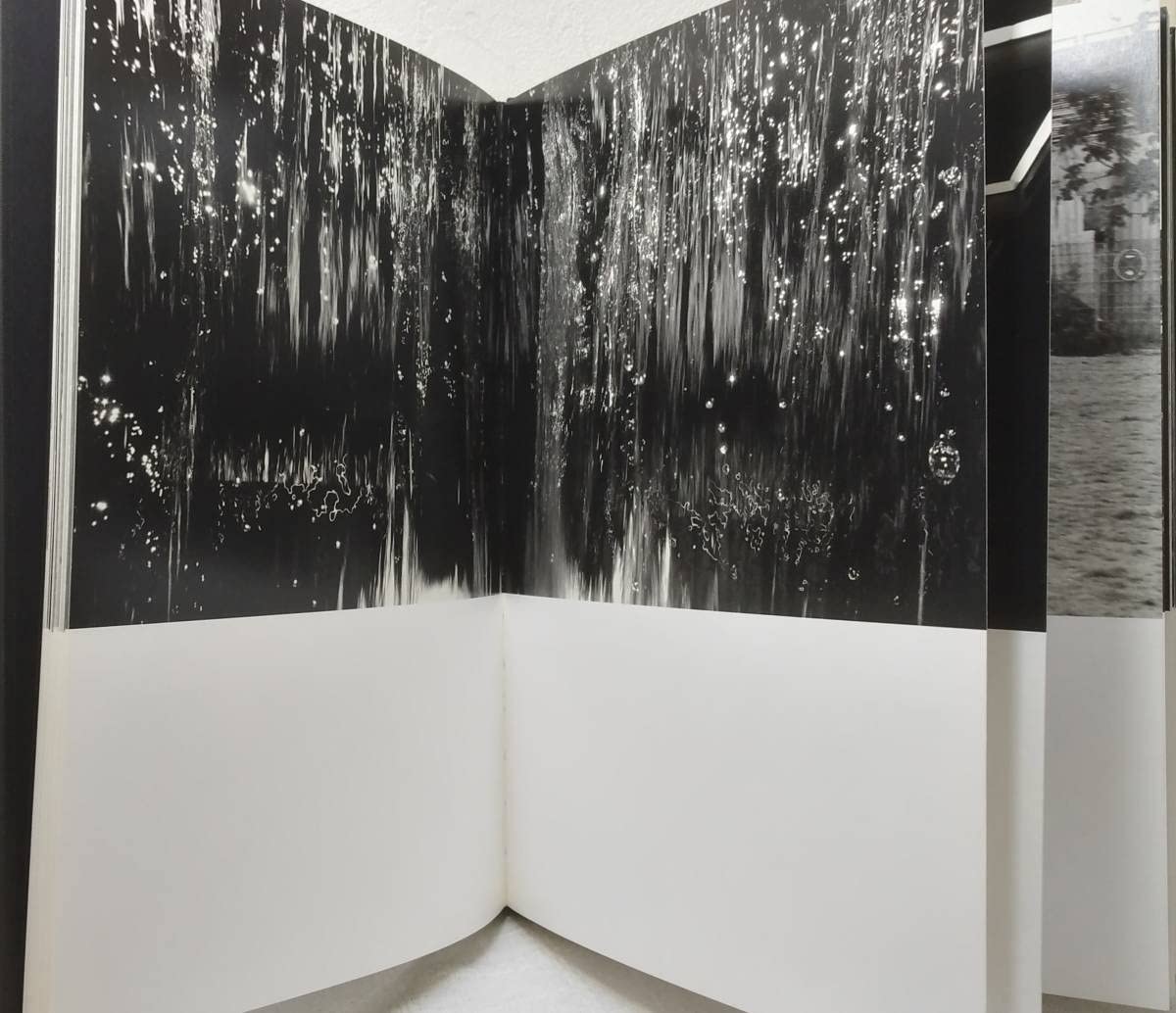 Amazon.co.jp: 写 エディスリマン 洋書写真集 Hedi Slimane Berlin 
