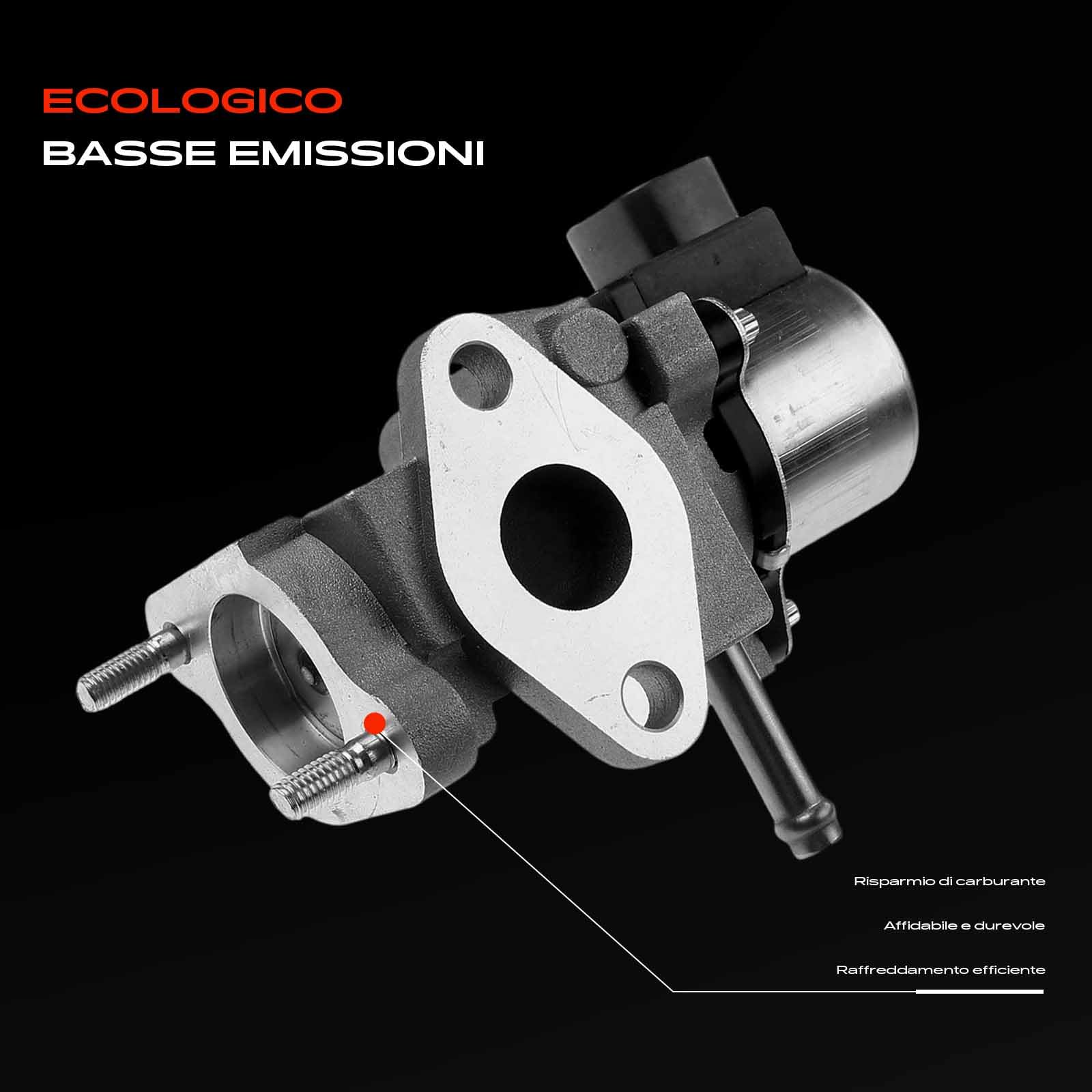 Frankberg Valvola EGR a 6 Poli 2562033030