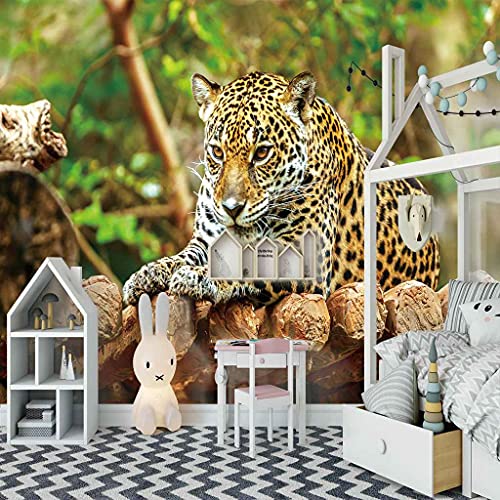 Papier peint léopard 3D pour rénover facilement un mur de salon sans colle ni outils complexes