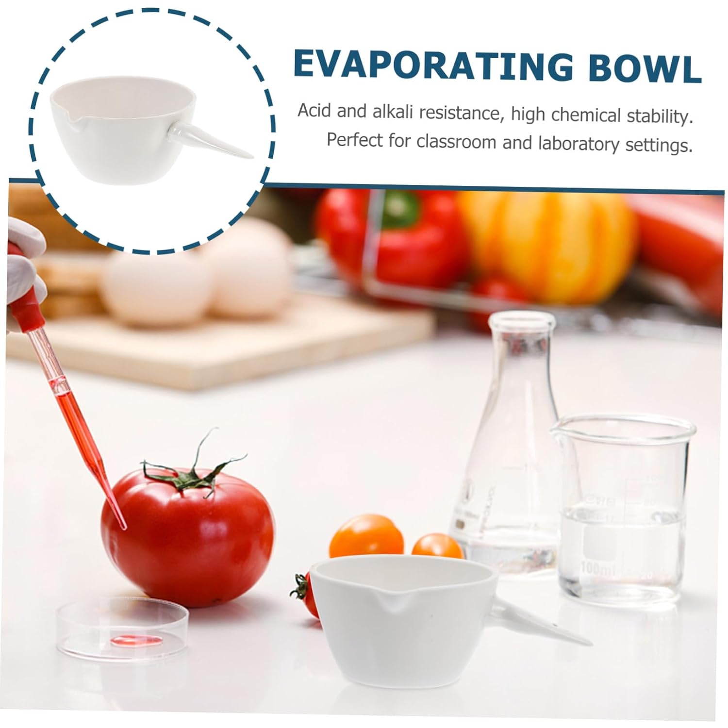 Ceramics Evaporating Basin with Handle Round Porcelain Dish for Laboratory School Home Heating and Solvent Evaporation