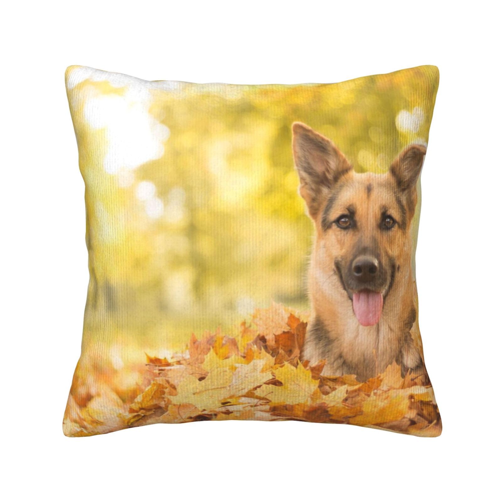 Housse de coussin berger allemand velours côtelé érable 45x45 cm pour canapé