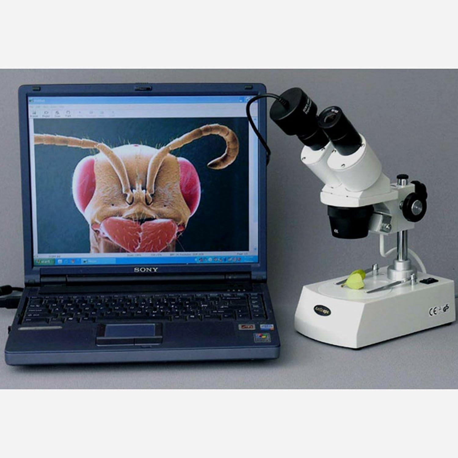 AmScope SE306R-PZ-3M Kompaktes Stereomikroskop mit mehreren Linsen, abgewinkeltem Kopf, Metallsäulenständer, Halogenbeleuchtung oben und unten, 20X-80X