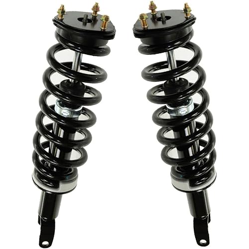Front Strut & Coil Spring Assembly Set Driver & Passenger Sides