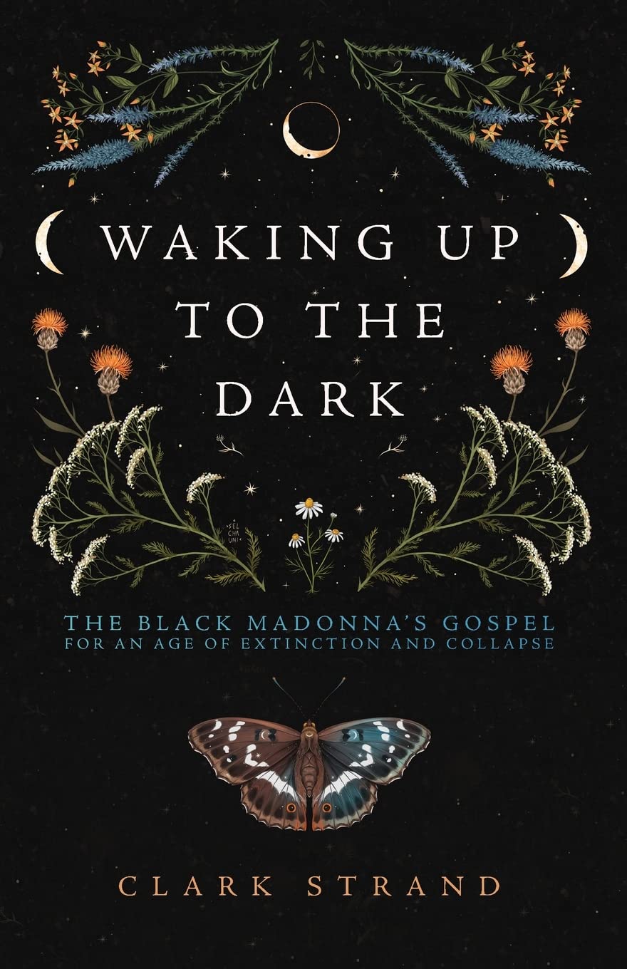 Waking Up to the Dark by Clark Strand (Paperback Book)