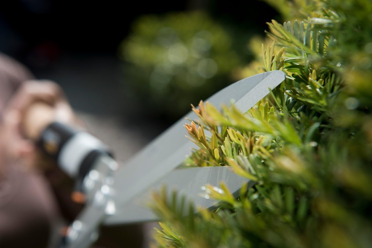 Bеѕt Cуbеr Dеаlѕ 🔥 Fiskars Tijera Corta setos Quantum Hedge Shear HS102, Non-Stick Coating, Steel Blades, Length: 63 cm, Black/Orange, 1001449, Standard, 63.1 x 16.5 x 7.3 cm