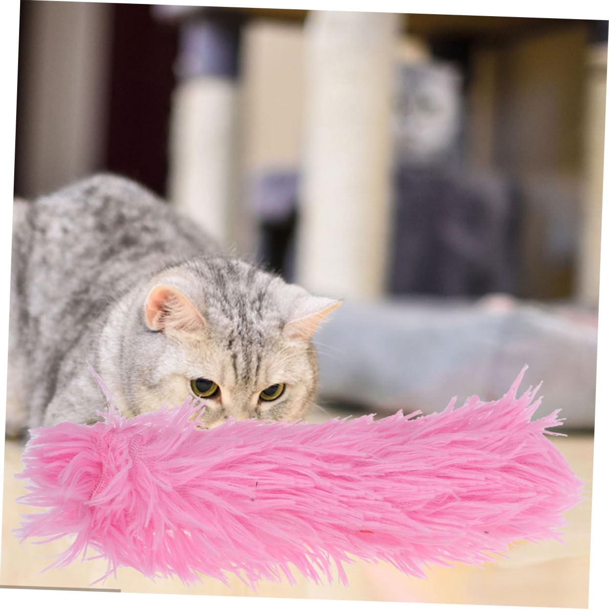 Mipcase 18pièces Jouets Interactifs Chaton avec Herbe à Chat Coussin Doux Et Jouets à Teaser pour Chats Intérieur Fournitures pour Animaux De Compagnie Colorées