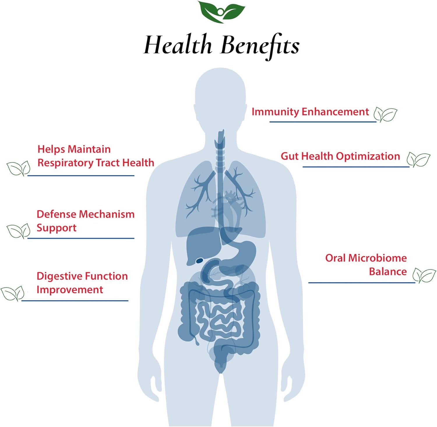 Foods For Gut Lactobacillus Salivarius Probiotic Powder 300 Billion cfu's | Made in USA | No Additives | Digestive & Immune Support | High Potency | L.Salivarius | (100 Grams)