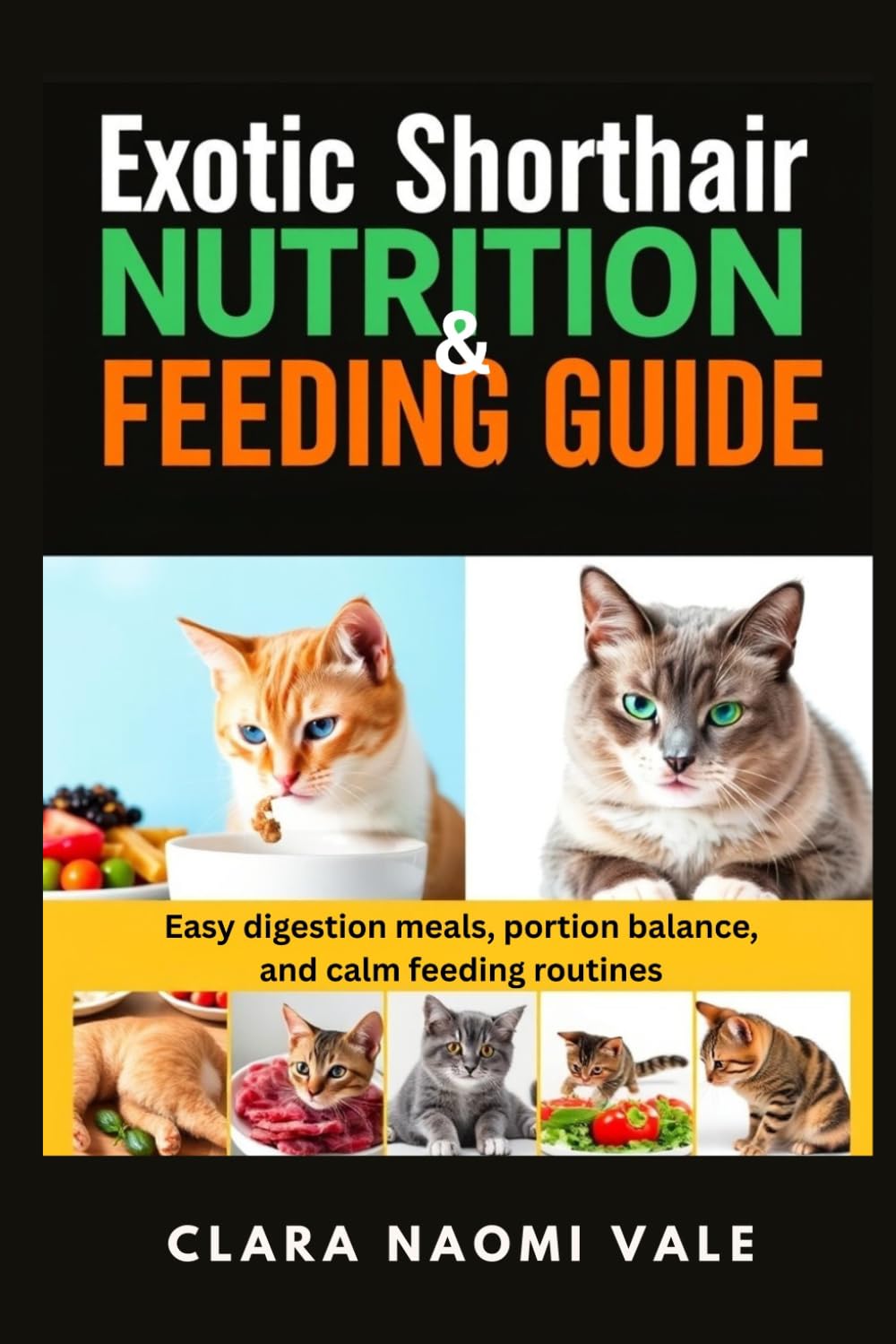 Exotic Shorthair Nutrition & Feeding Guide: Easy digestion meals, portion balance, and calm feeding routines