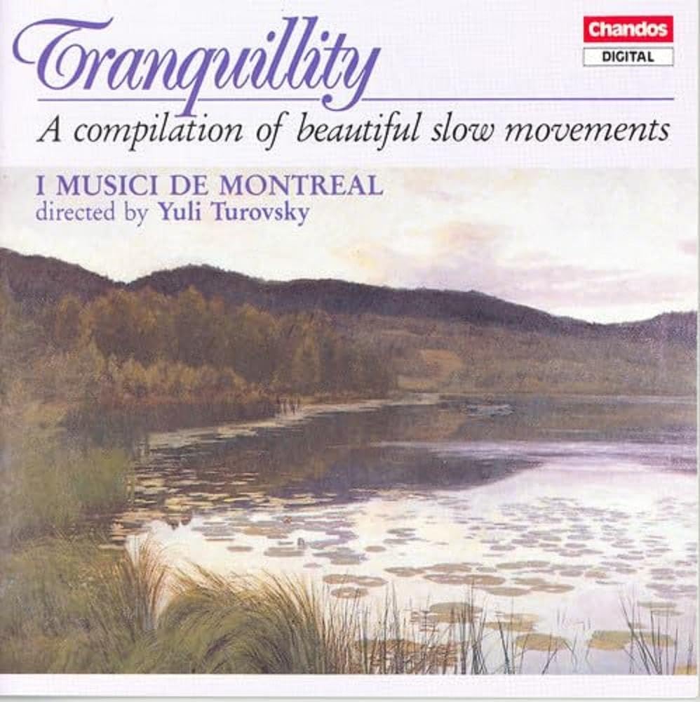 Tranquillity [Audio CD] DVORAK,ANTONIN; Turovsky; Hutchins; Baskin and Casadesus; Wassenaer; Vivaldi;