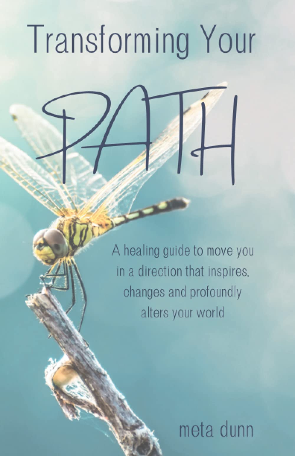 Transforming Your Path: A healing guide to move you in a direction that inspires, changes and profoundly alters your world