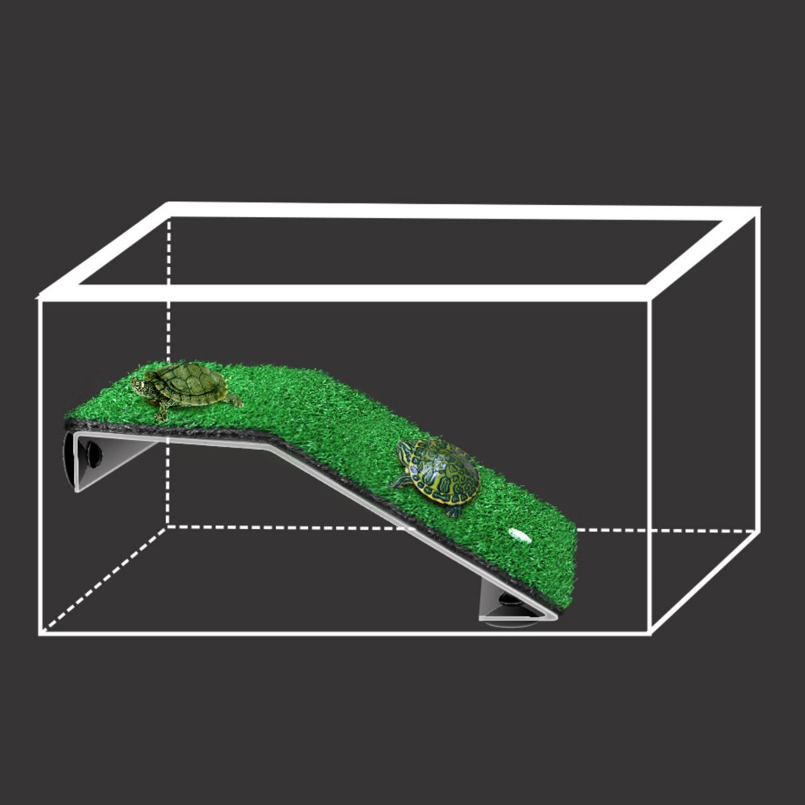Saim Piattaforma Crogiolarsi
