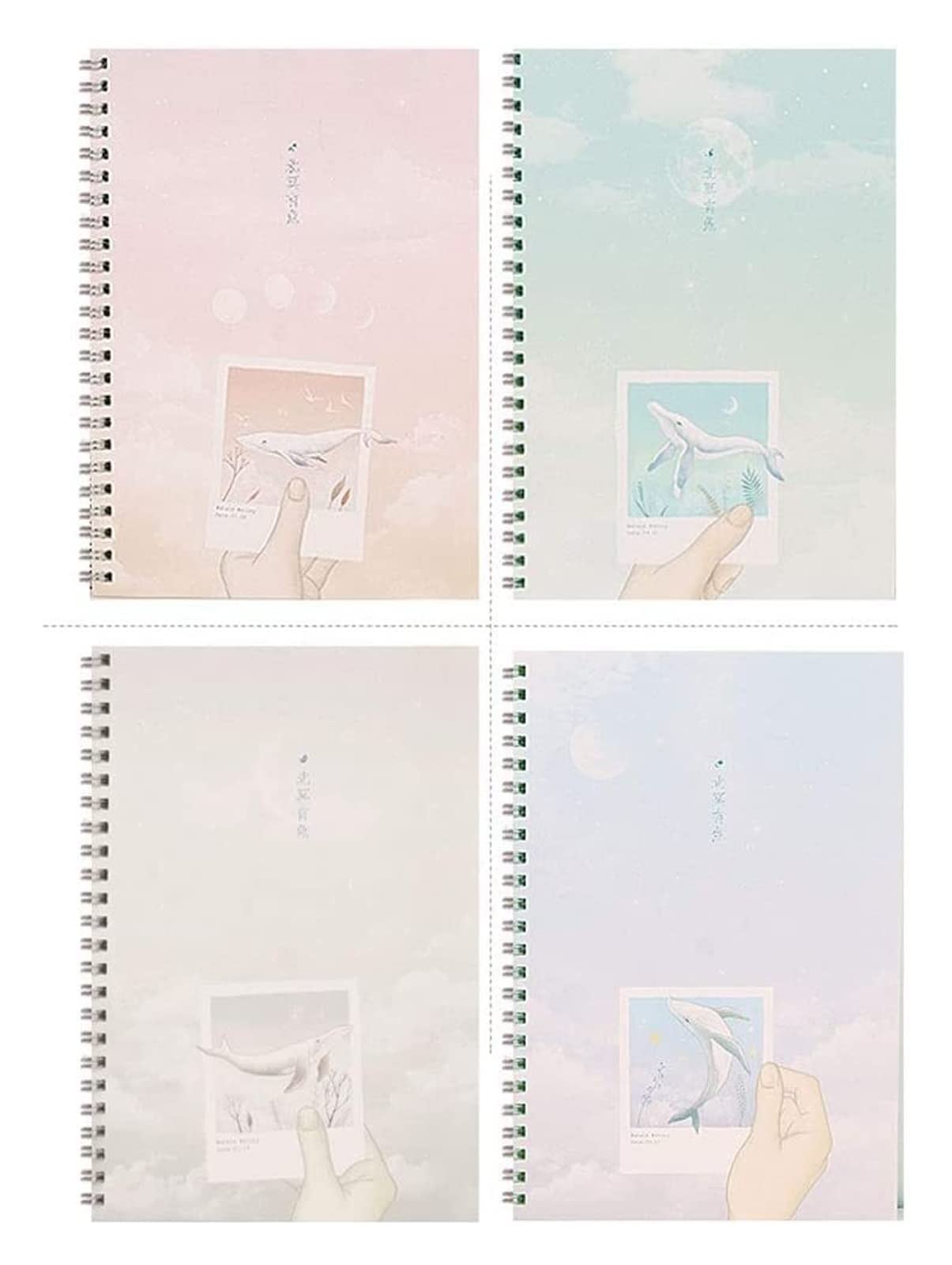 zeszyt, Papier w linie Star Spiral 4 Subject, College, 60 arkuszy(E)