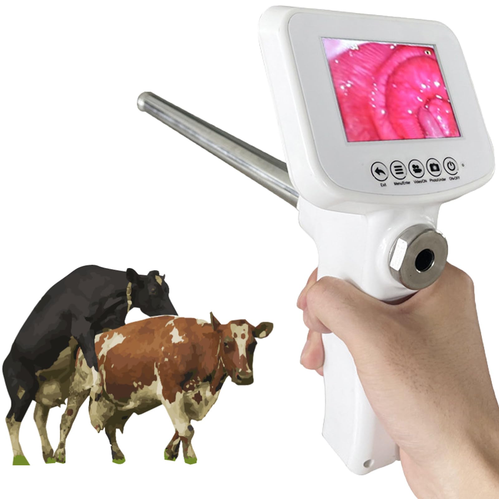 ylpddmm Insemination Kits for Cows Cattle, Visual Insemination Gun