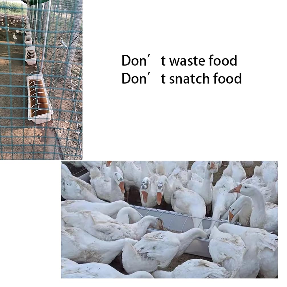 Alimentador de pato para aves de corral, equipo de alimentación para pollos, palomas, patos y codornices, sin residuos, ideal para la alimentación del ganado, diseño compacto