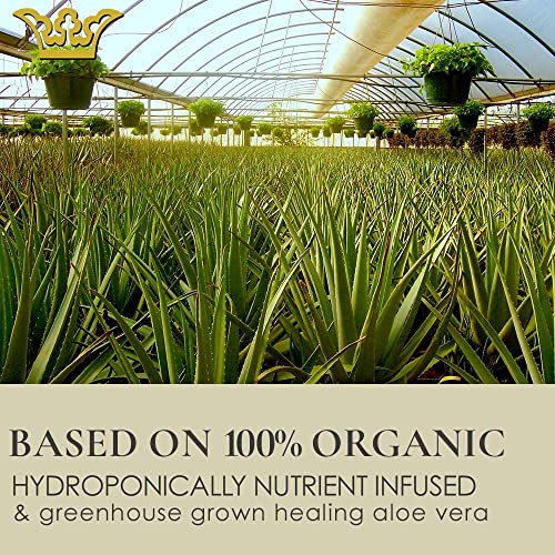 Gunilla Eye-De-Puff A23 -Concentrated Anti-Aging Eye Cream -23 Actives & Botanicals Hydrate & Help Reduce Fine Lines, Puffiness & Dark Circles. Natural - Peptides - Vegan (.5 Oz) #TOP5