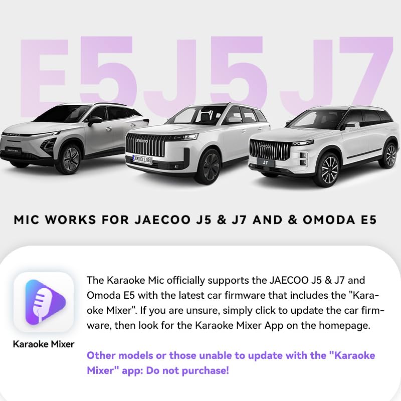 BYD/Jaecoo Official Dual Wireless Karaoke Microphones - Image 4