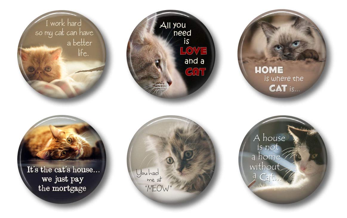 Blue Turtle MagnetsSnarky Cat - Cute Locker For Teens - 1.75" Set of 6 - Whiteboard For Home School or Office