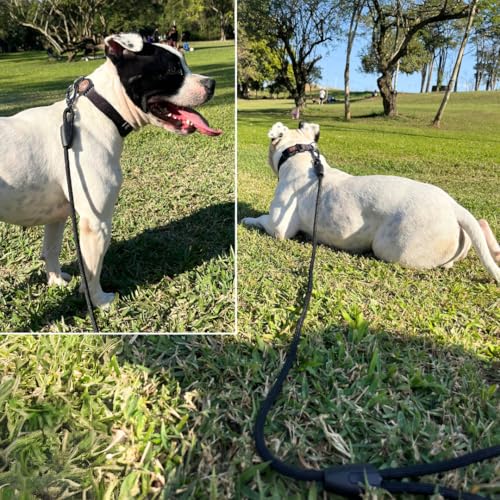 Guia Longa com 5 metros de Corda Passeios Para Cães de Adestramento Mosquetão Reforçado (Peto)