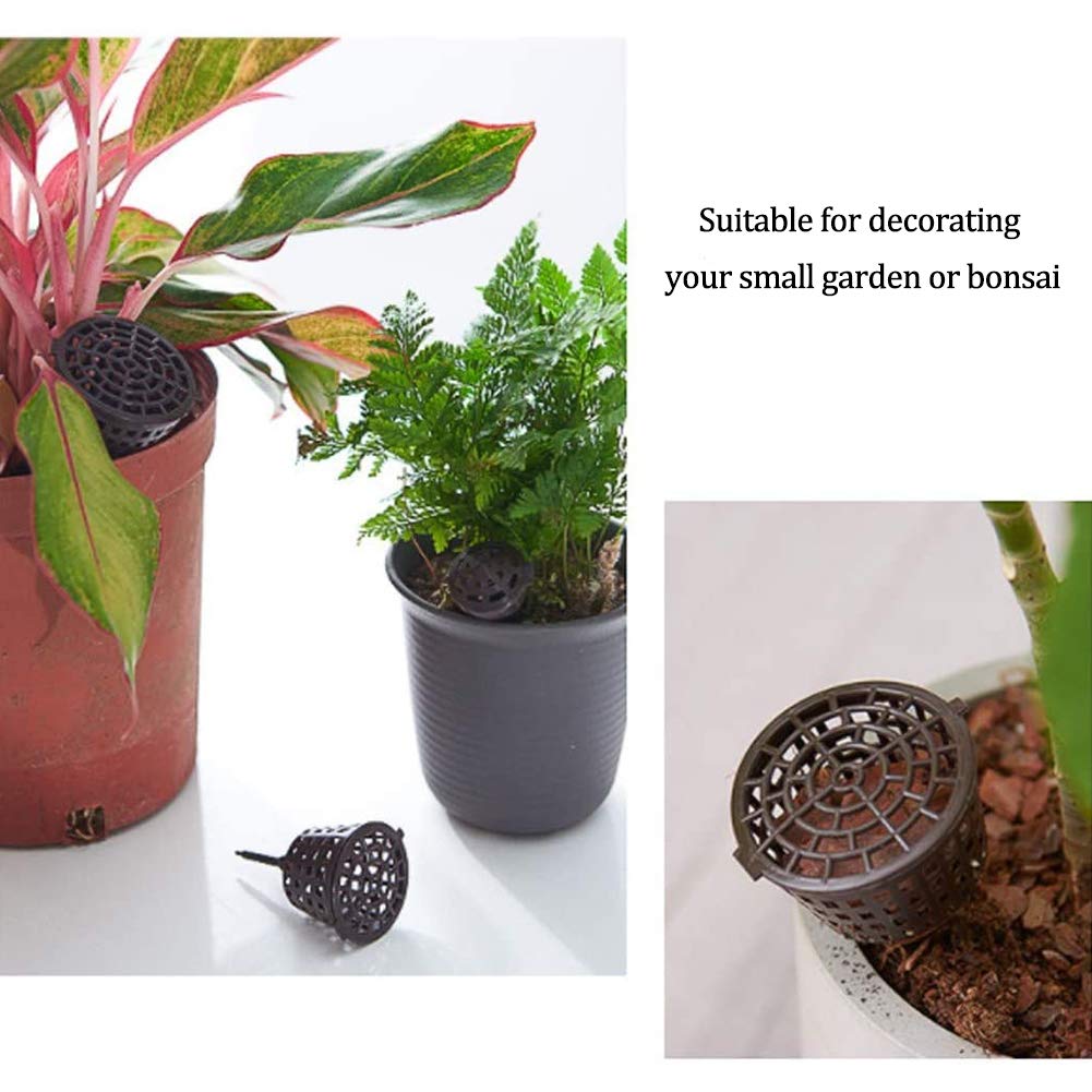 Bonsaï Outil avec Couvercle Boîte Engrais Organique 30 pcs Plastique Epandeur Rangement Plantes