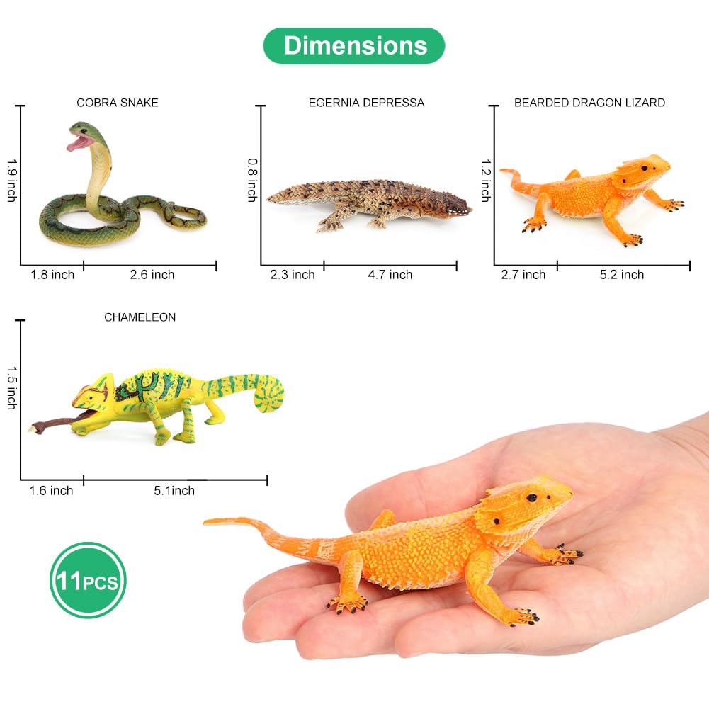 Amazon.co.jp: Volnau 動物の置物 蛇のおもちゃ 爬虫類フィギュア 冷血