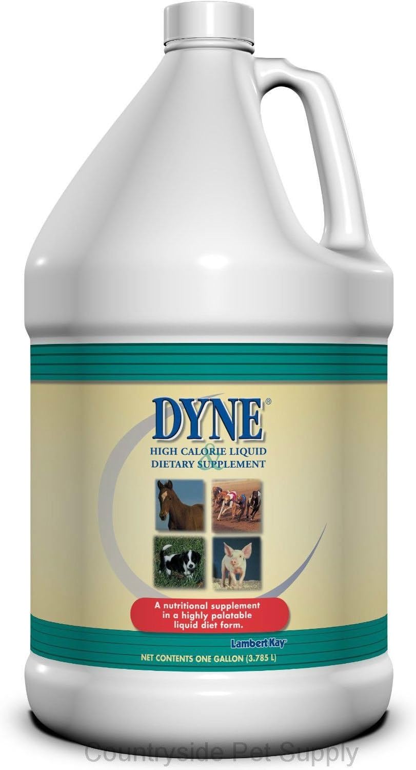 Dyne High Calorie Supplement for Dogs Gallon