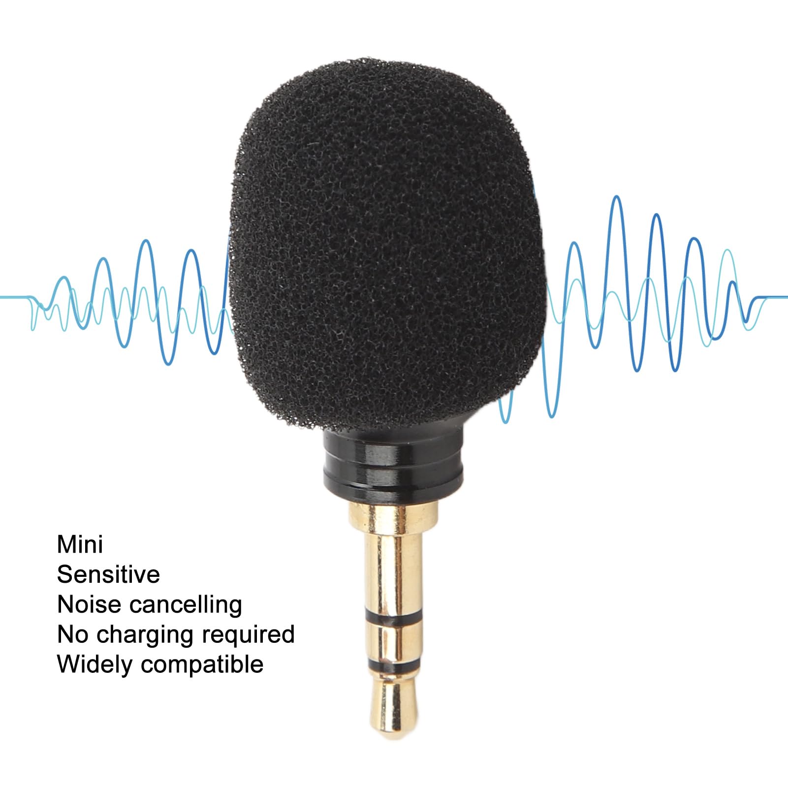 Devine grootmembraan condensator microfoon kopen? | Bax Music