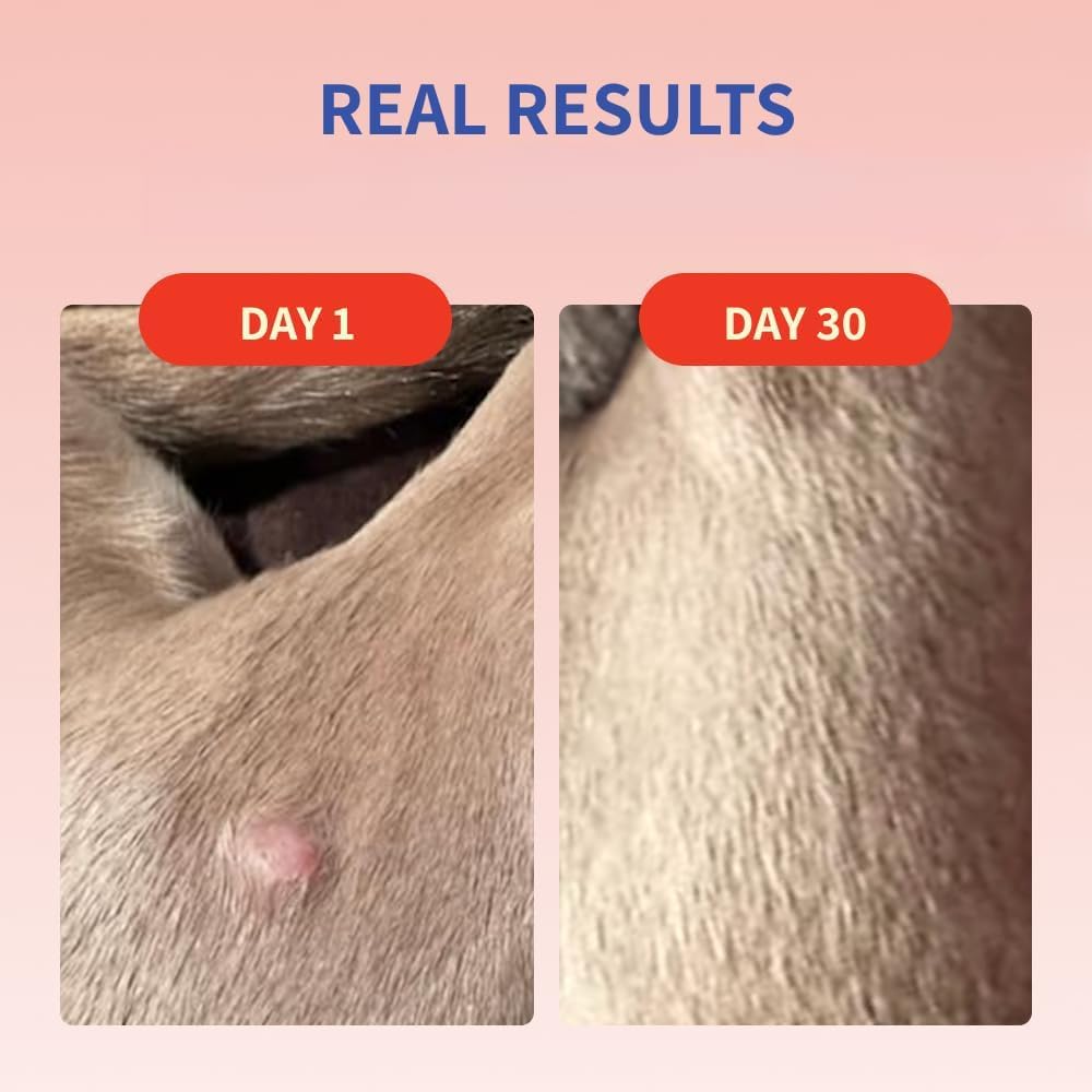 Hongos de cola de pavo para perros - Tratamiento de lipoma para perros, apoya nódulos y bultos, salud intestinal y del sistema inmunológico, 1 pieza