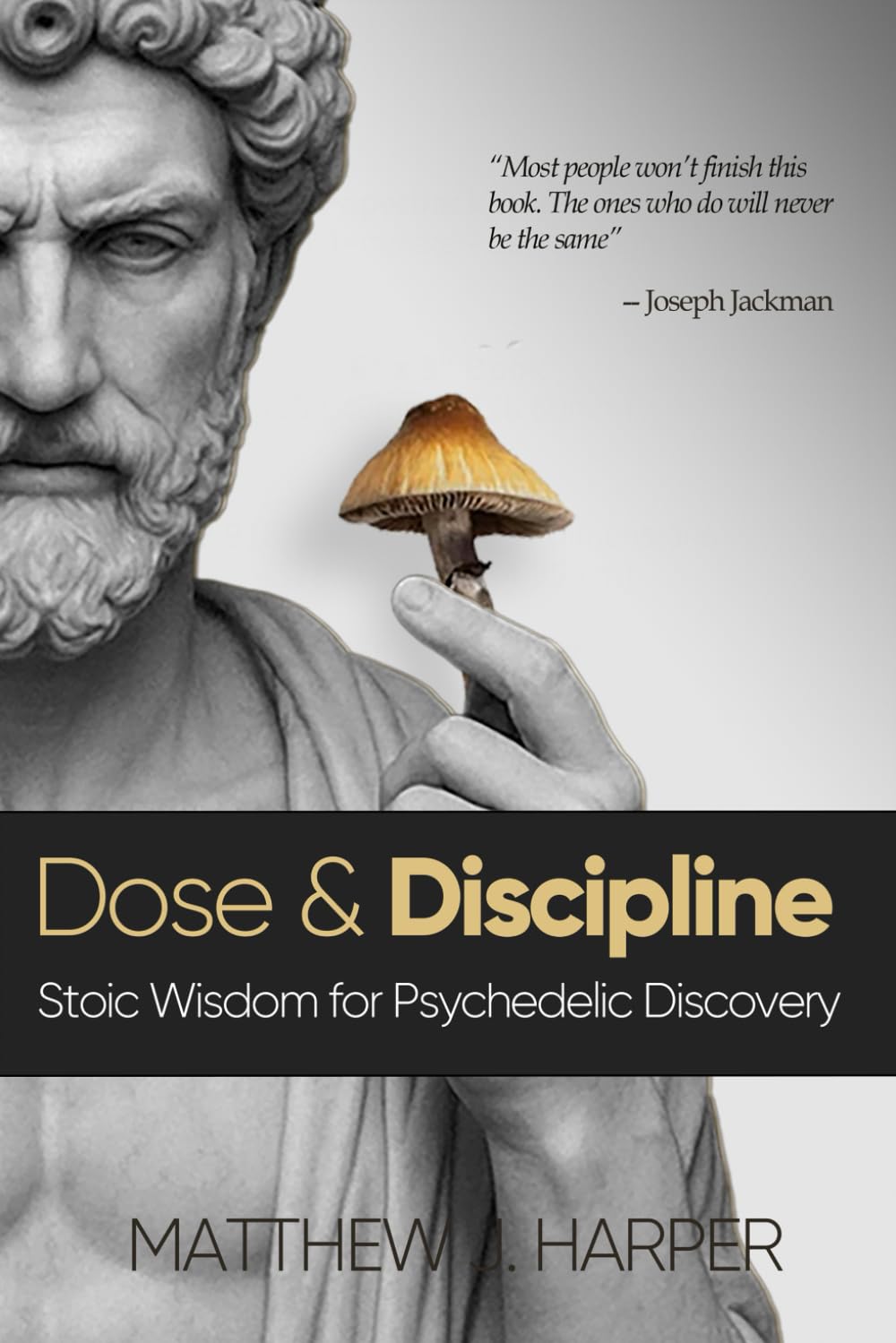 Dose and Discipline: Stoic Wisdom for Psychedelic Discovery