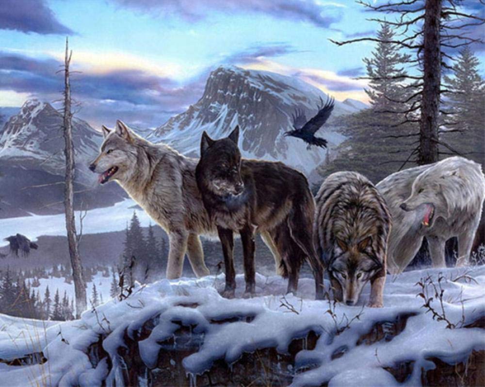 Peinture par numéros loup pour activité créative à la maison
