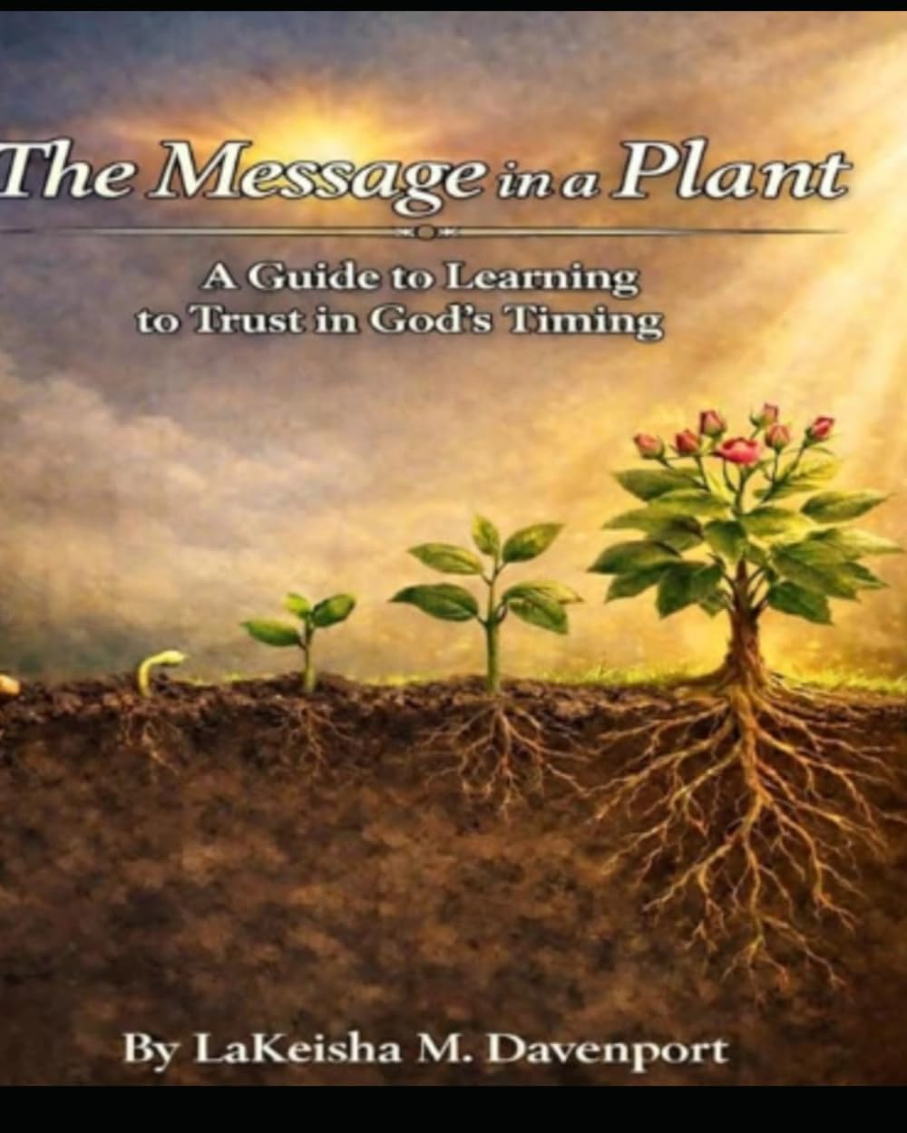 The Message in a Plant: A Guide to Learning to Trust in God's Timing