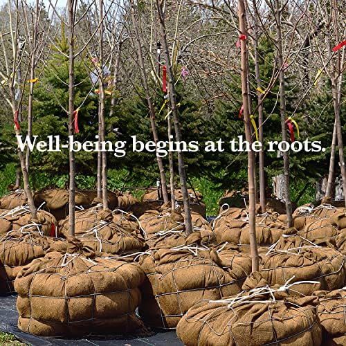 Burloptuous 40"x15 Toes Gardening Burlap Roll - Multipurpose Pure Burlap Material, Excessive Density Jute Fiber Materials for Decorations, Wedding ceremony Desk Runners, Heart Items for Residence, Rustic Get together Decor 5 6125GjOUOUL. AC
