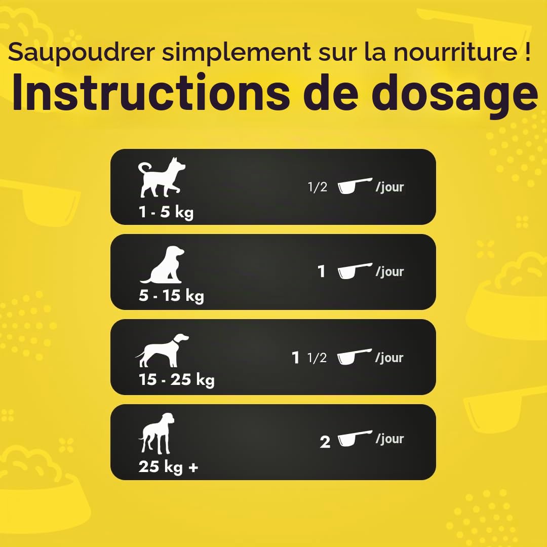 Canine Booster – Complément pour Chiens Adultes avec Moule Verte, Curcuma et probiotiques – Améliore mobilité, Digestion, Peau, Pelage, renforce l’immunité et Plus Encore