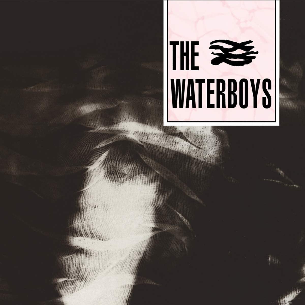 その他 LP Various Water Boys PROT7291 UNIVERSAL JAPAN Japan Vinyl /00260 LP Various Water Boys PROT7291 UNIVERSAL JAPAN JAPAN VINYL
