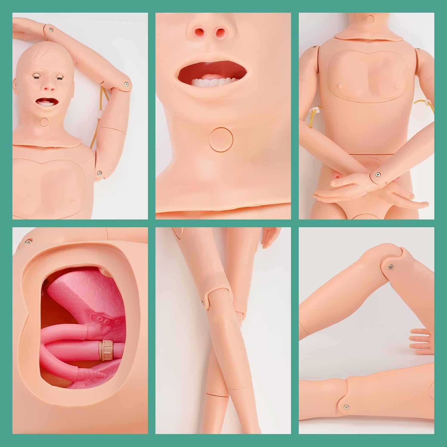 Mannequin grandeur nature pour soins aux patients, entraînement médical, compétences infirmières et simulation de traumatismes – Mannequin pour l'éducation