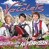 alpenrose schönried  Wieder blüh\'n die Alpenrosen