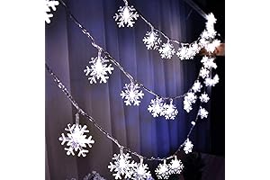 19ft /40LED Snowflake String Light String